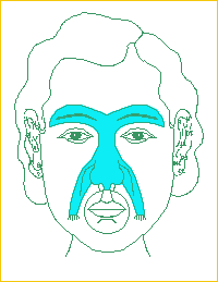 面相小人图-女人